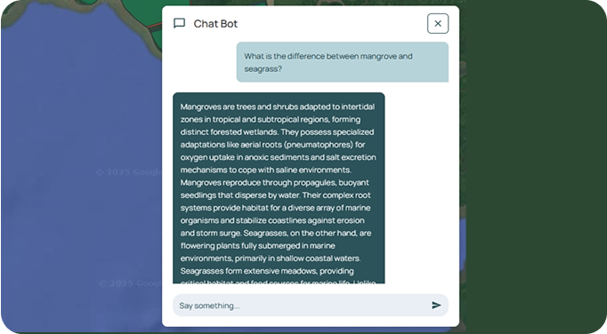 Mangrove chatbot